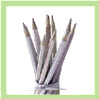 Glittering Pencils Picture